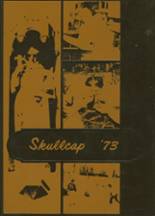 1973 St. Fidelis High School Yearbook from Herman, Pennsylvania cover image