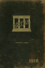 Mercersburg Academy 1918 yearbook cover photo