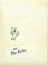 1963 Northeast High School Yearbook from Dubois, Indiana cover image