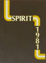 Delran High School 1981 yearbook cover photo