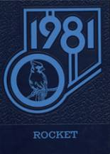 1981 Mayville High School Yearbook from Mayville, Wisconsin cover image