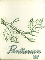 1964 Saegertown High School Yearbook from Saegertown, Pennsylvania cover image