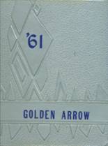 1961 Olentangy High School Yearbook from Lewis center, Ohio cover image