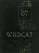 Richmond Hill High School 1967 yearbook cover photo