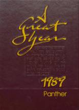 1989 Cyrus High School Yearbook from Cyrus, Minnesota cover image