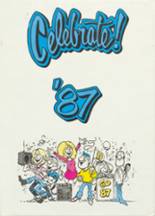 1987 Decatur High School Yearbook from Decatur, Michigan cover image