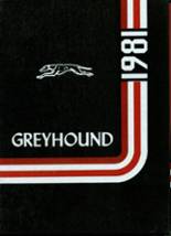 1981 Gruver High School Yearbook from Gruver, Texas cover image