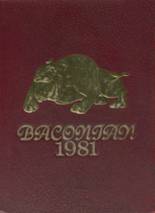 1981 Bridgeton High School Yearbook from Bridgeton, New Jersey cover image