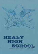 Healy High School 1983 yearbook cover photo
