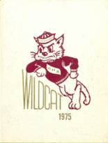 Cashion Public High School 1975 yearbook cover photo