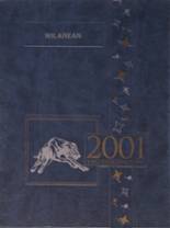 Wilmington Area High School 2001 yearbook cover photo