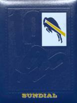 1993 Woodbury High School Yearbook from Woodbury, New Jersey cover image