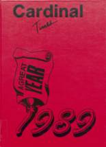 1989 Necedah High School Yearbook from Necedah, Wisconsin cover image