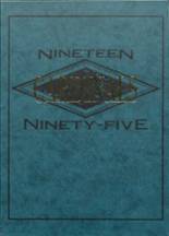 1995 Necedah High School Yearbook from Necedah, Wisconsin cover image