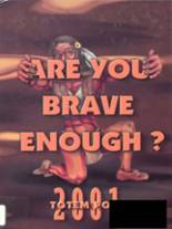 2001 Bonner Springs High School Yearbook from Bonner springs, Kansas cover image