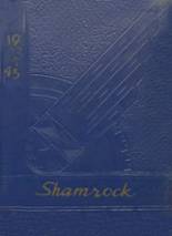 Dublin High School 1945 yearbook cover photo