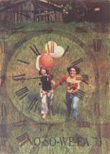 St. Petersburg High School 1973 yearbook cover photo