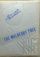 Mulberry High School 1963 yearbook cover photo