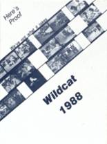 Deming High School 1988 yearbook cover photo