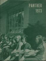 Yellville-Summit High School 1973 yearbook cover photo