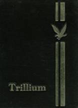 Trumbull High School 1966 yearbook cover photo