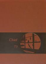 1973 Greenville High School Yearbook from Greenville, Ohio cover image