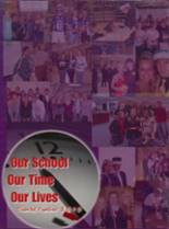 Red Wing High School 2010 yearbook cover photo