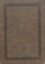 1921 Homestead High School Yearbook from Homestead, Pennsylvania cover image
