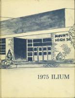 Mt. Union Area High School yearbook