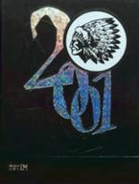 2001 North Knox High School Yearbook from Bicknell, Indiana cover image