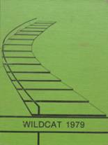 Brunswick High School 1979 yearbook cover photo