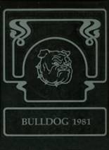 1981 Schulter High School Yearbook from Schulter, Oklahoma cover image