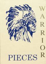 1995 Castlewood High School Yearbook from Castlewood, South Dakota cover image