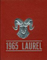 Laurel Valley High School 1965 yearbook cover photo