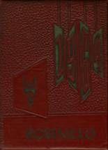 1964 Robinson High School Yearbook from Robinson, Illinois cover image