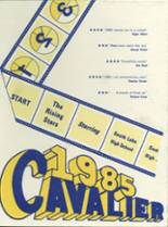 1985 South Lake High School Yearbook from St. clair shores, Michigan cover image