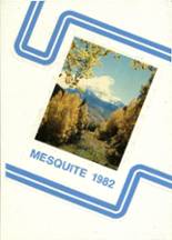 Mesquite High School 1982 yearbook cover photo