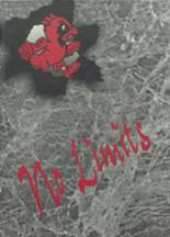 1999 Clear Lake High School Yearbook from Lakeport, California cover image