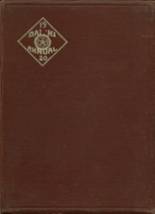 1920 Bryan Street High School Yearbook from Dallas, Texas cover image