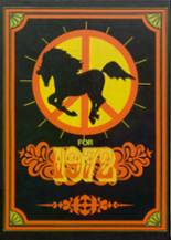 1972 Schuylerville High School Yearbook from Schuylerville, New York cover image