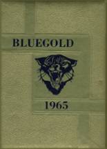 Sumrall High School 1965 yearbook cover photo