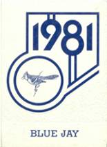 Egan High School 1981 yearbook cover photo