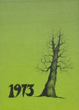 1973 Jordan-Elbridge High School Yearbook from Jordan, New York cover image
