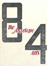 Abernathy High School 1984 yearbook cover photo