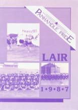 1987 Panhandle High School Yearbook from Panhandle, Texas cover image