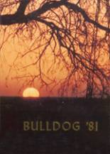 Millsap High School 1981 yearbook cover photo