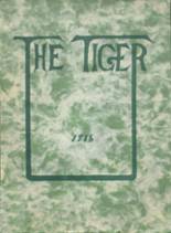 Hastings High School 1916 yearbook cover photo
