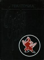 Darlington High School 1982 yearbook cover photo