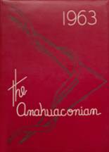 Anahuac High School 1963 yearbook cover photo