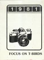 1981 Browns Valley High School Yearbook from Browns valley, Minnesota cover image